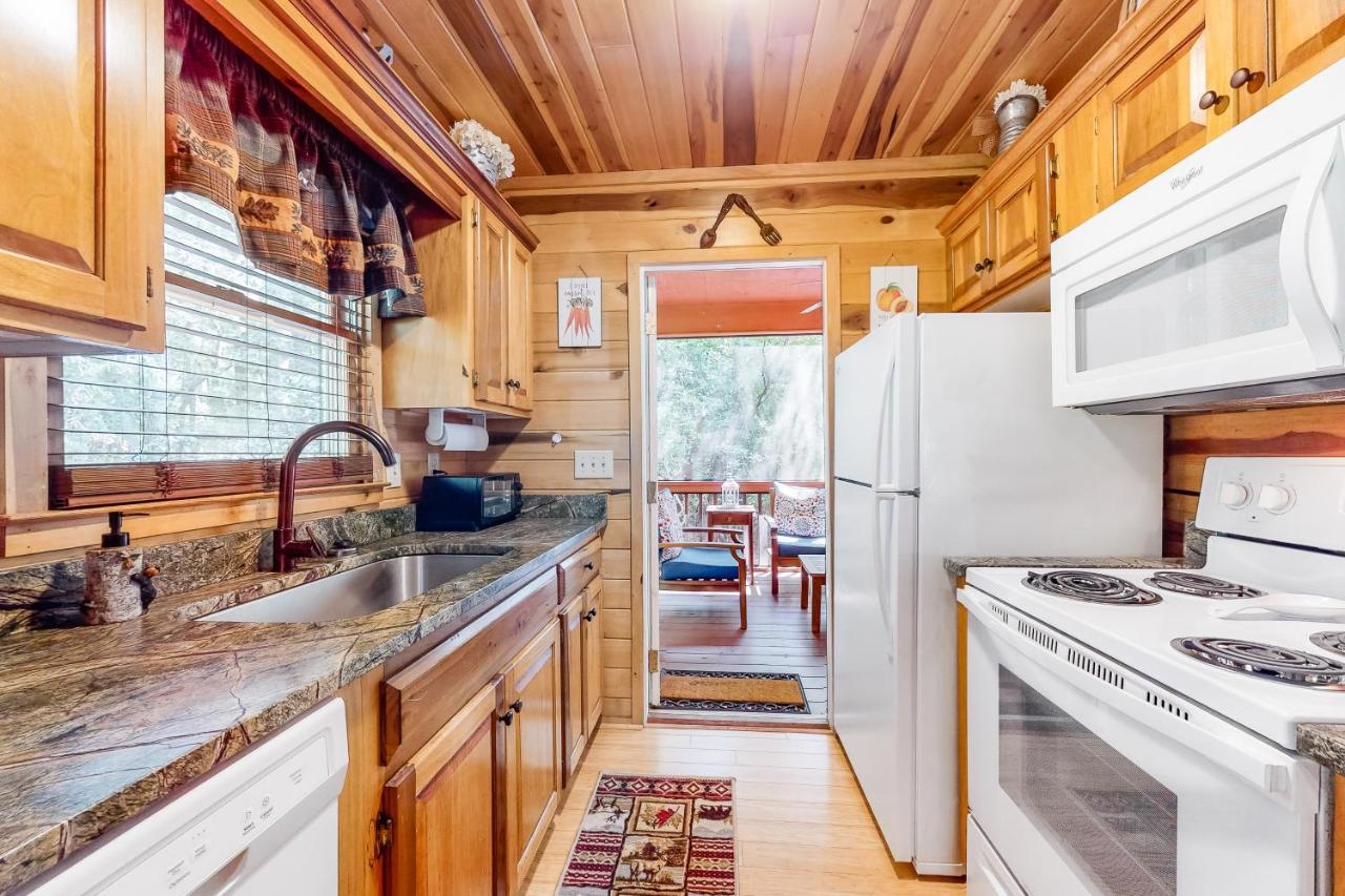 Bearry Blissful Cabin Sautee Nacoochee Exteriér fotografie